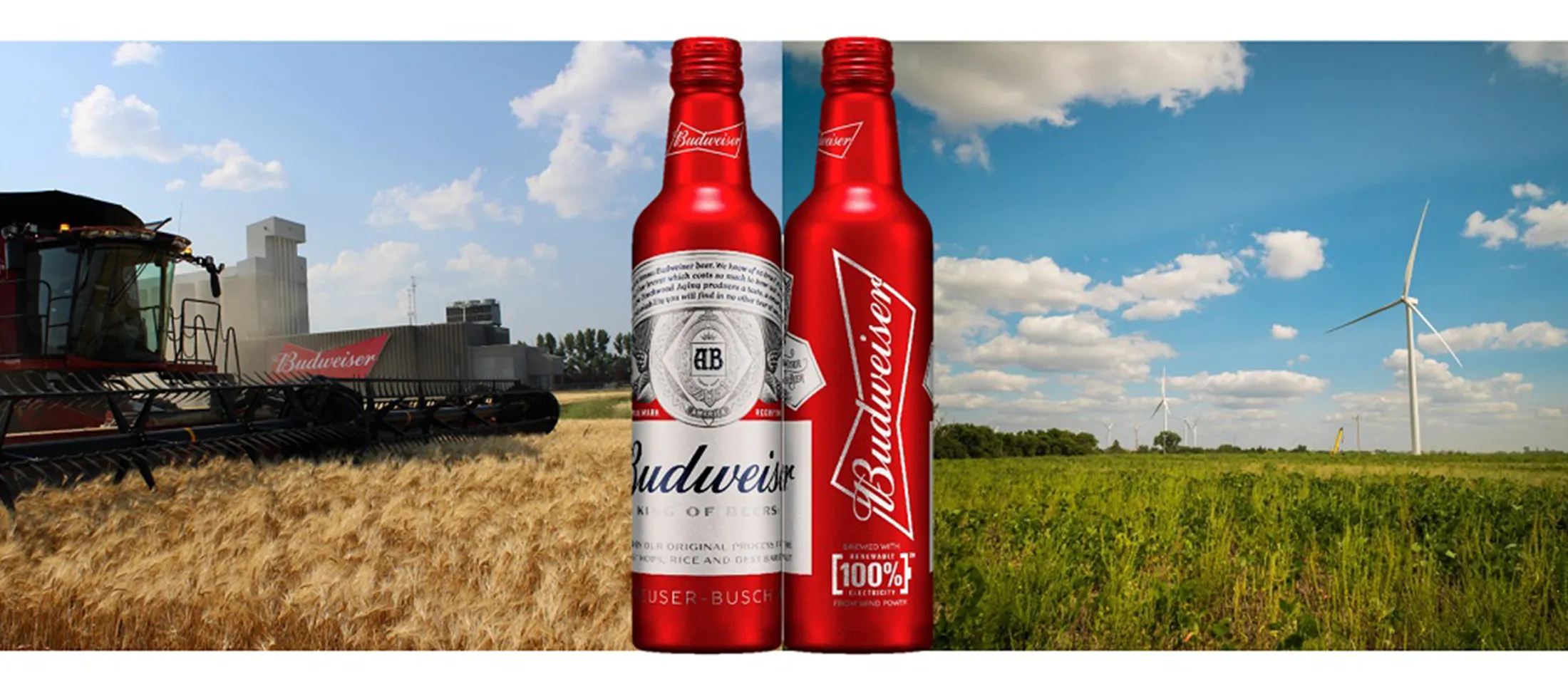 Budwieser’s bottles with the renewable energy label.