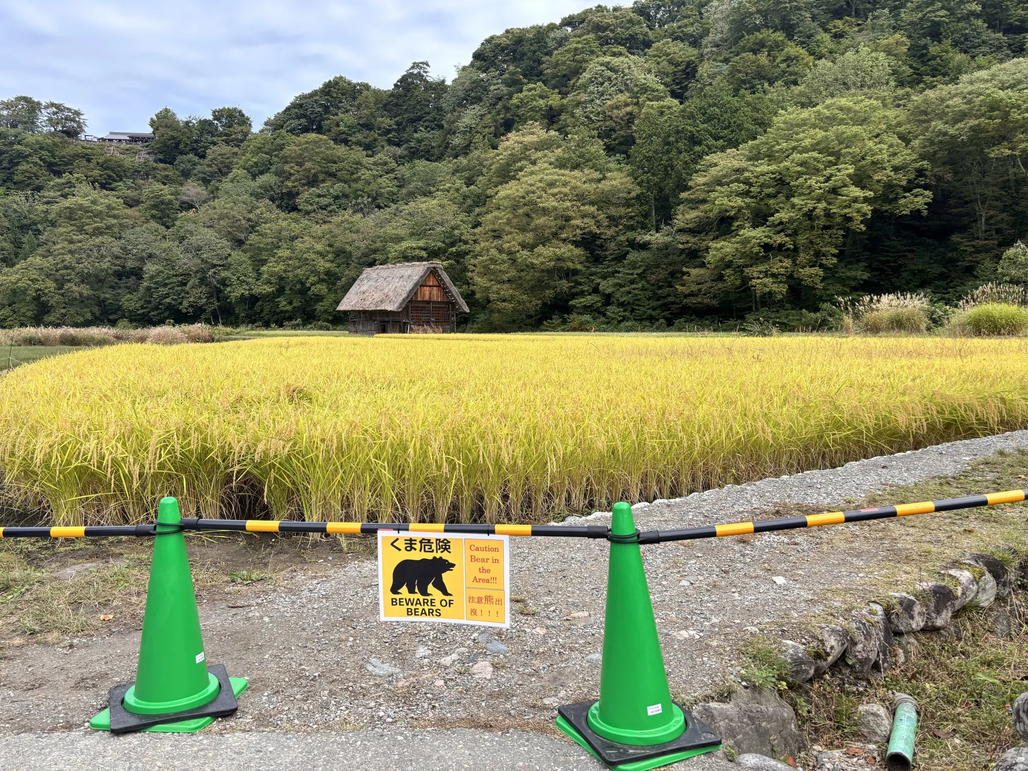 A bear warning sign at a closed walking trail&nbsp;in Hida, Japan, on Oct. 7.