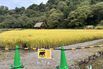 Bear Attacks in Japan Prompt Military Response, Fuel Meme Stocks