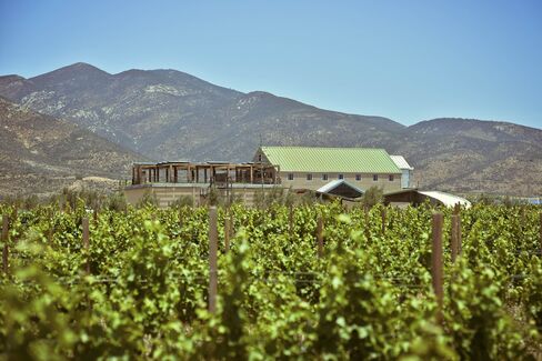 Finca La Carrodilla, one of Valle's top wineries.
