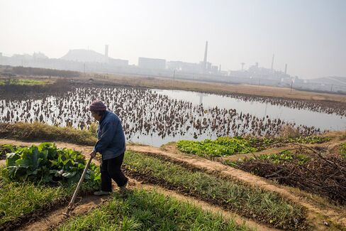 China Aims for Food Security as Pollution Destroys Crop Land