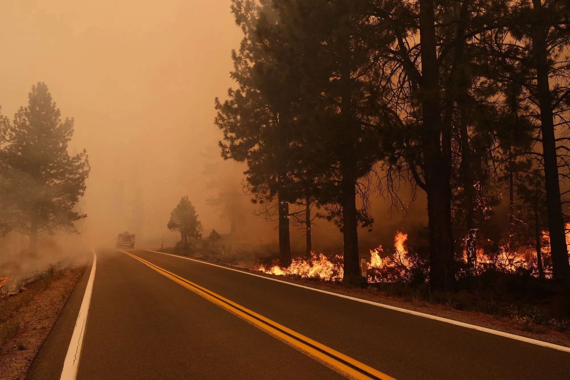 Firefighters Battle The Tamarack Fire In Alpine County