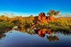Australian Rock Art Site Near LNG Hub Gets World Heritage Status