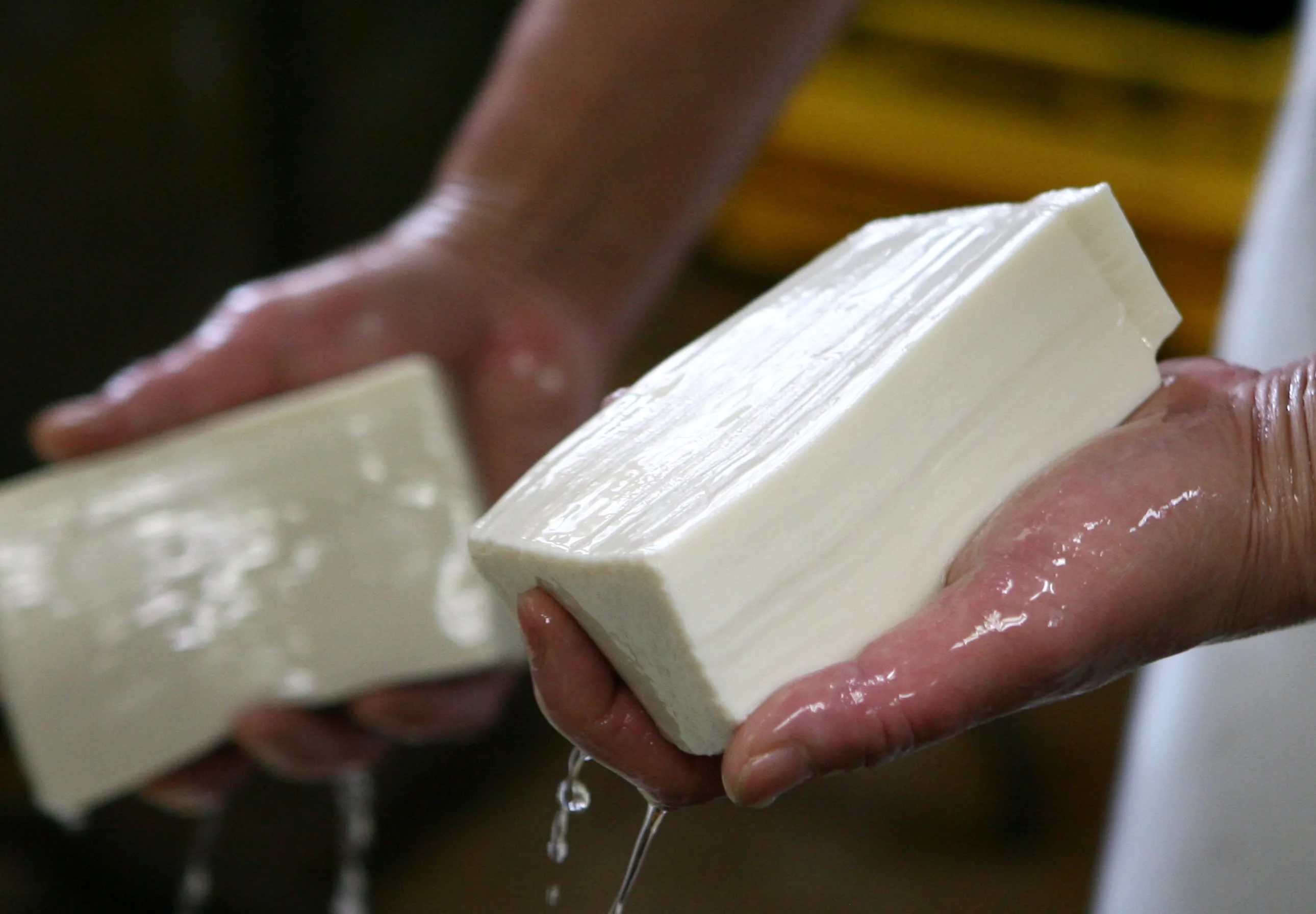 Fresh tofu.
