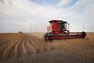 U.S. Farm Earnings Drop 14.6 Percent In Third Quarter AFter A Decline In Output