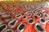 Seized pangolin scales and elephant ivory in Singapore on July 23.
