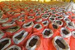 Seized pangolin scales and elephant ivory in Singapore on July 23.