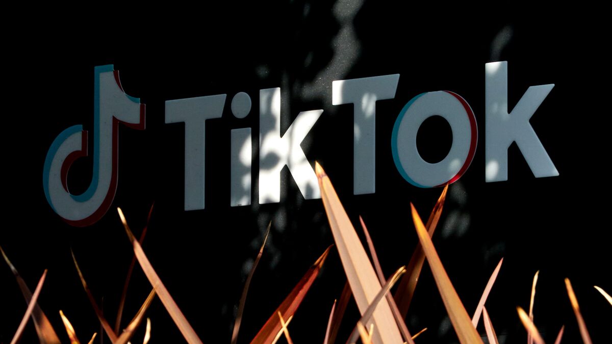 TikTok’s Potential Ban Allowed