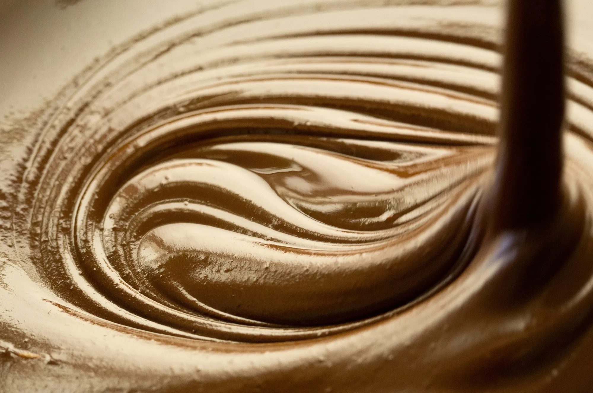 Cocoa Processing At Transmar Chocolate Factory As Company Targets $7.3 Billion Russian Chocolate Market