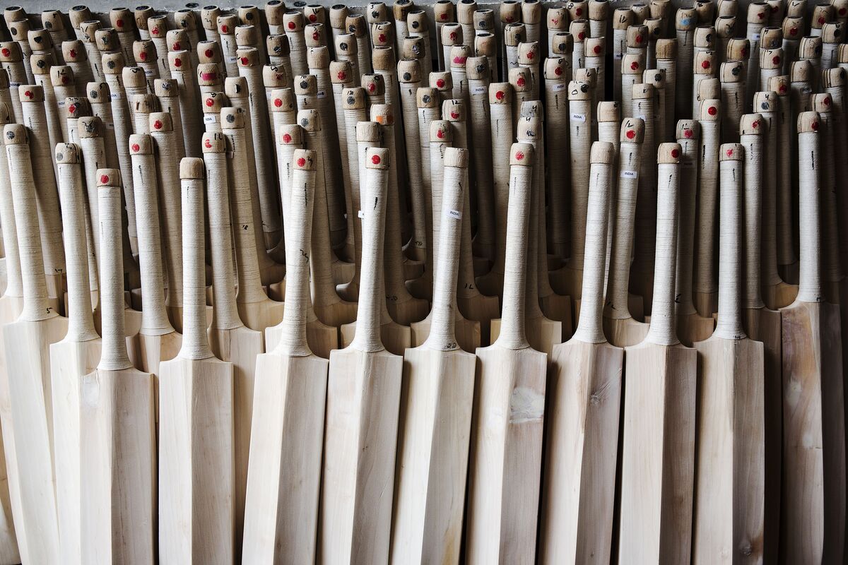 The Cricket Factory Where Dreams Are Made - Bloomberg