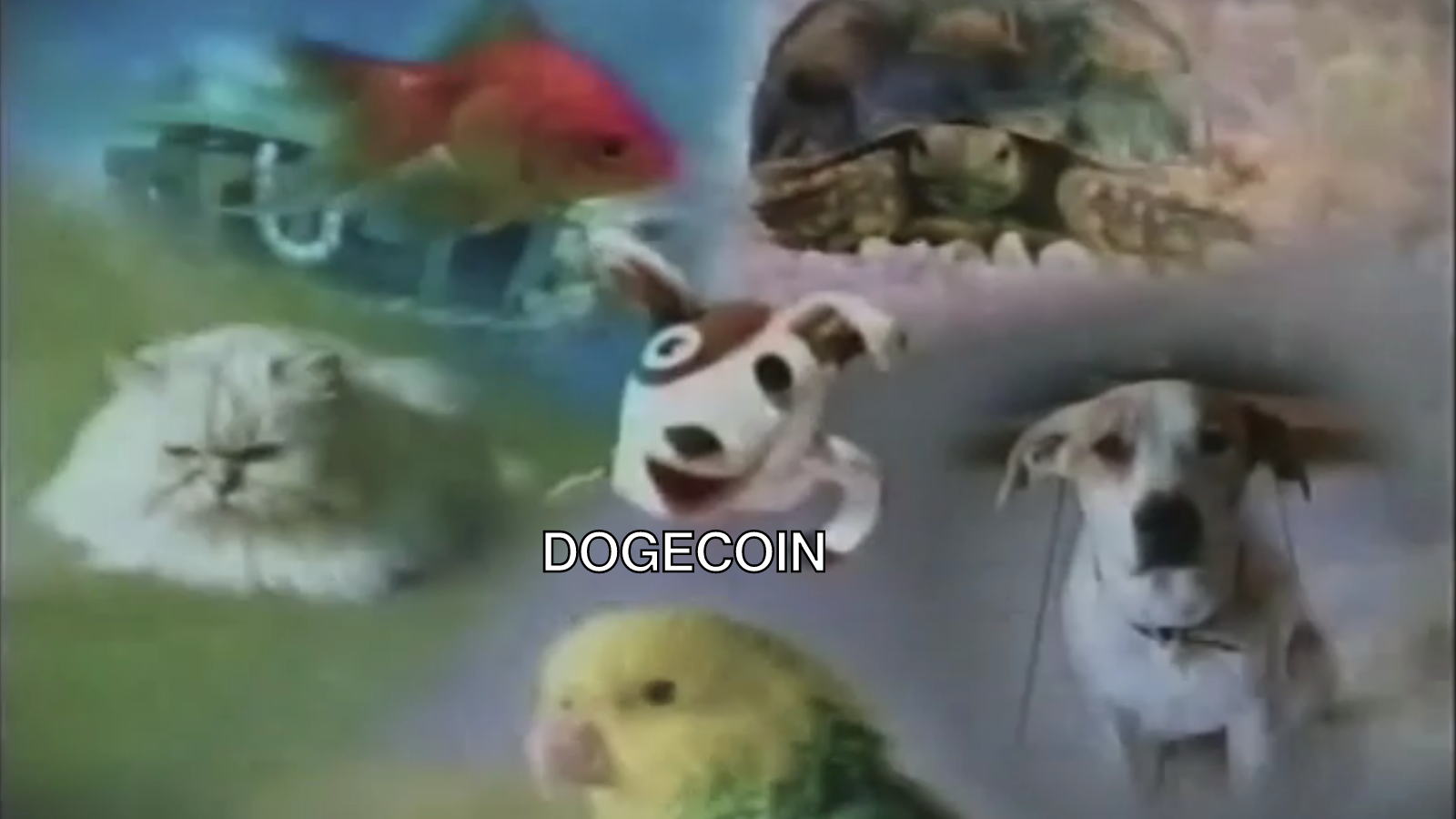 Crypto companies spent millions on Super Bowl ads. So did Pets.com