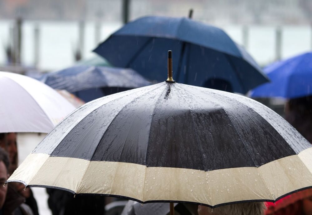 How to Use an Umbrella - Bloomberg