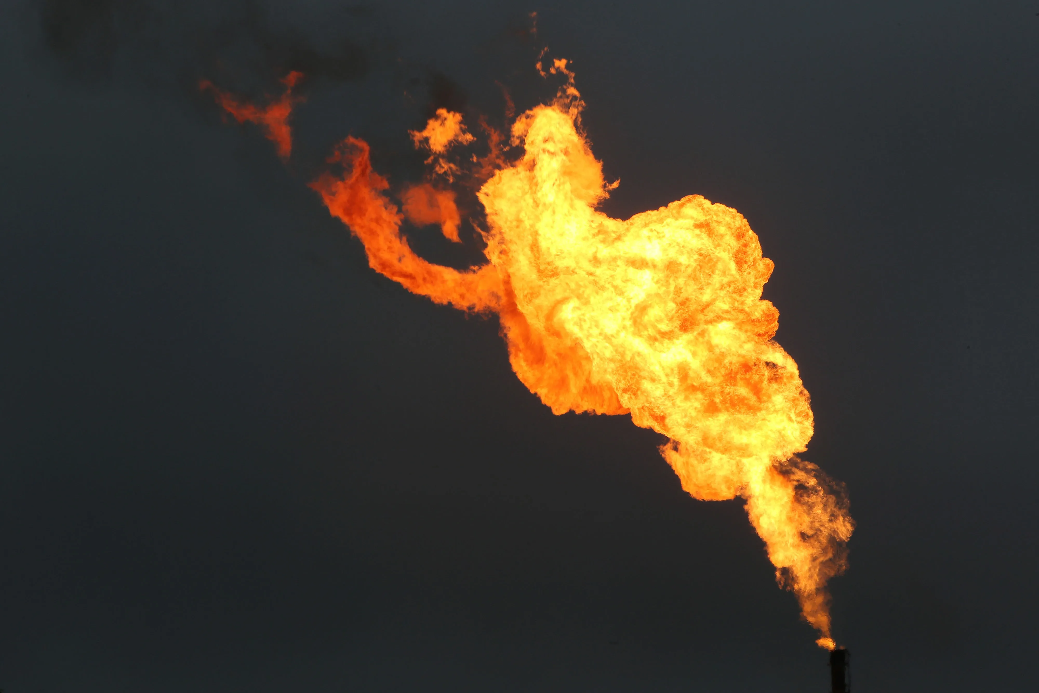 Don’t let this&nbsp;last chance go&nbsp;up in flames.
