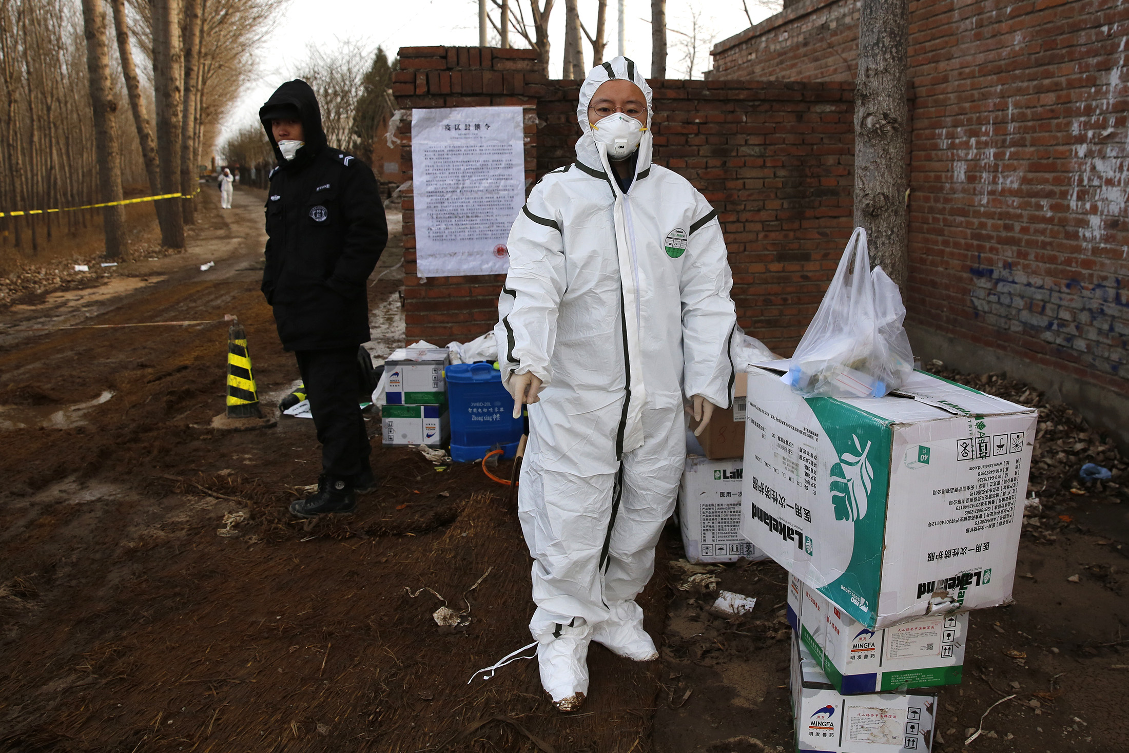 Authorized personnel at a blocked off site after incident of African swine fever near Beijing on Dec. 3.