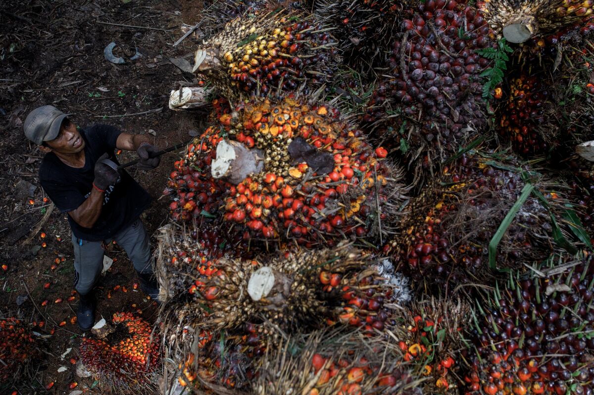 assets.bwbx.io image