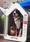 Dogspot