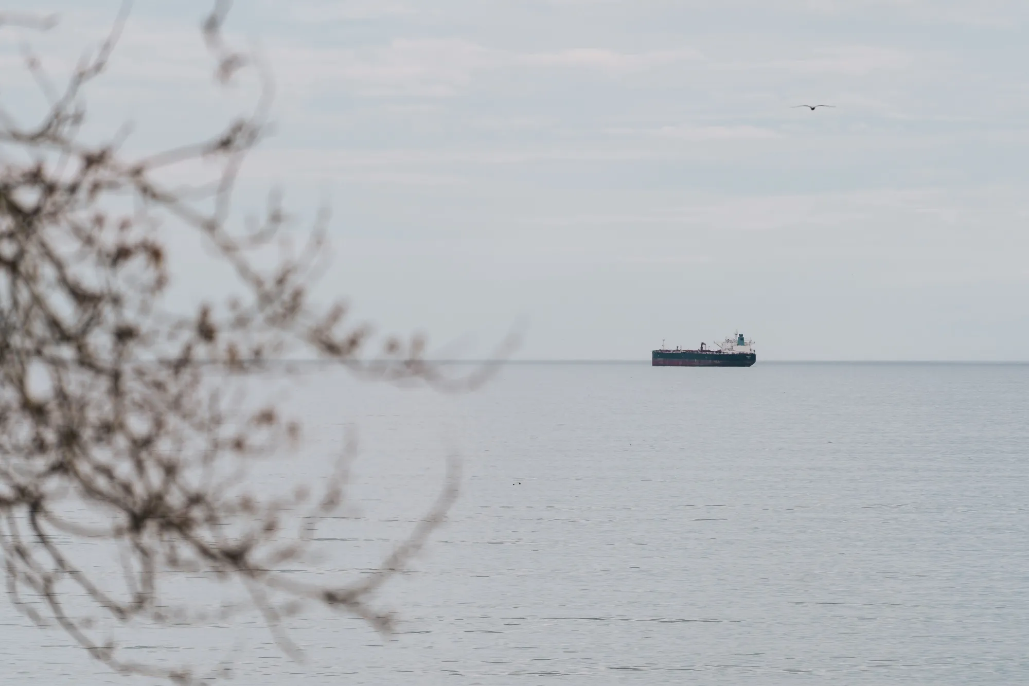 Russia shipped 3.06 million barrels a day of crude in the four weeks to Dec. 15.