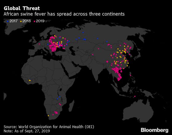 The Deadly Pig Virus That’s Proving Difficult to Beat