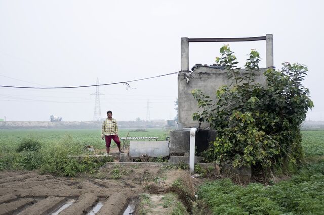 Inder Kashyap next to a farm he has leased in Dadupur Rangran, Haryana, India.
