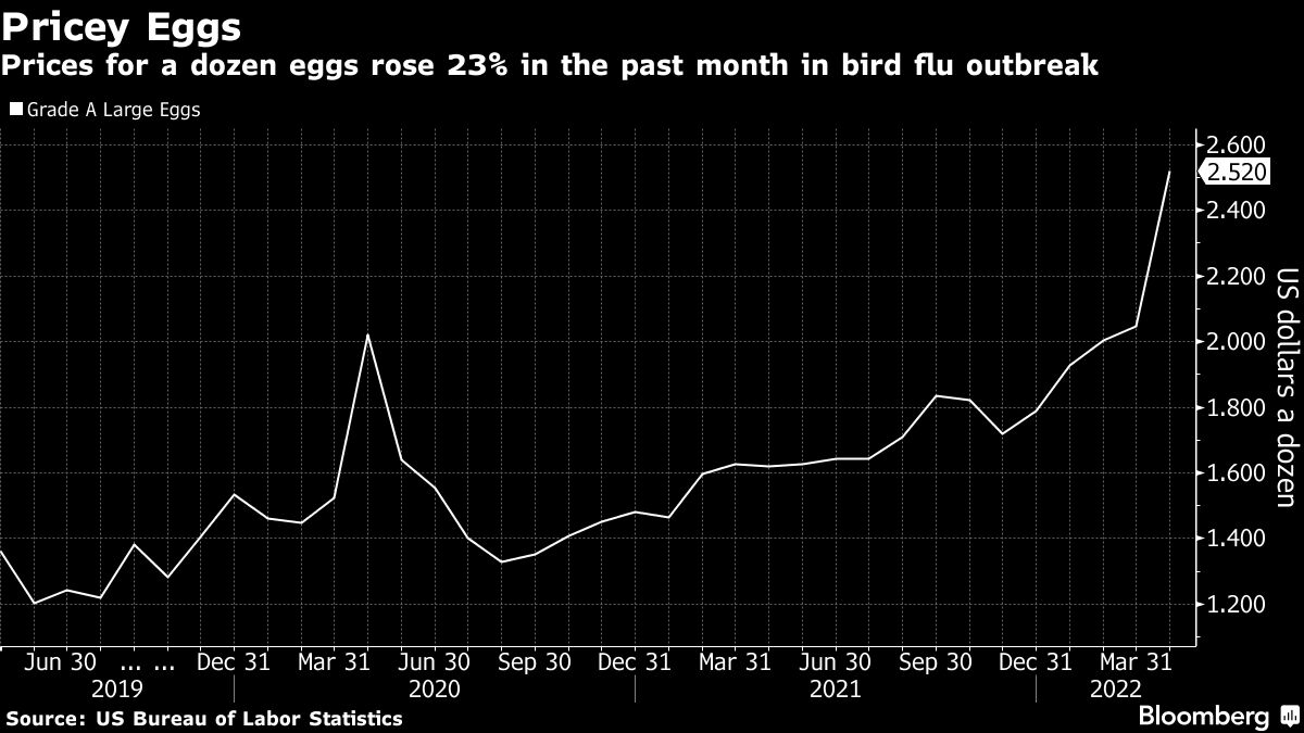 Egg Prices Surge in US Inflation Data as Bird Flu Wipes Out Hens