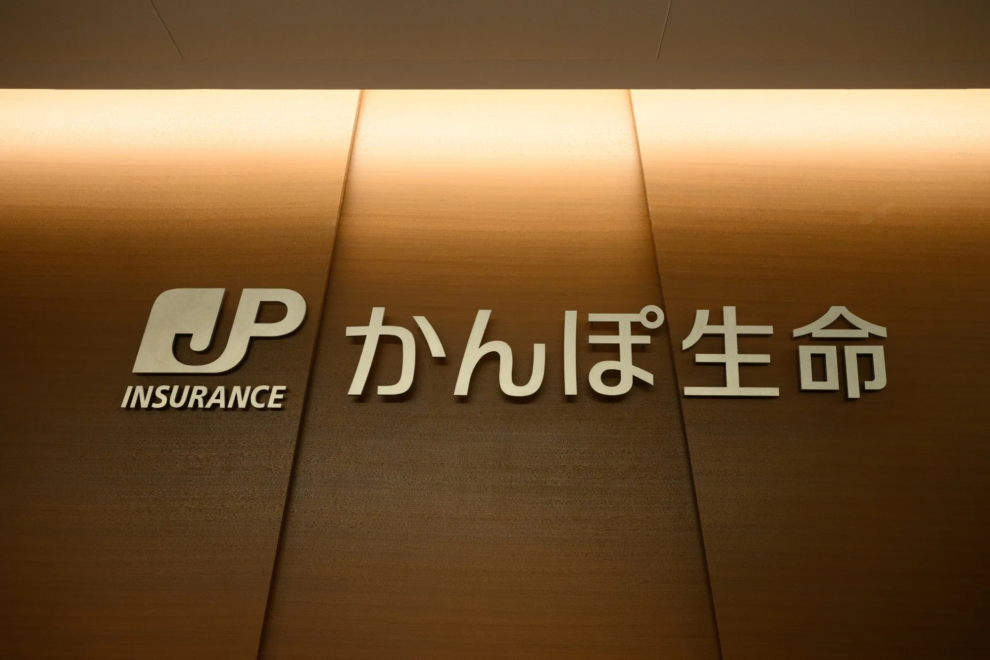 Japan Post Insurance CEO Kunio Tanigaki Interview