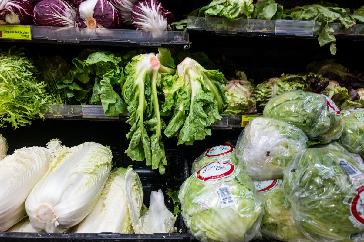 bloomberg.com - David Rovella - Democrats Look at Taylor Farms Donations to Trump