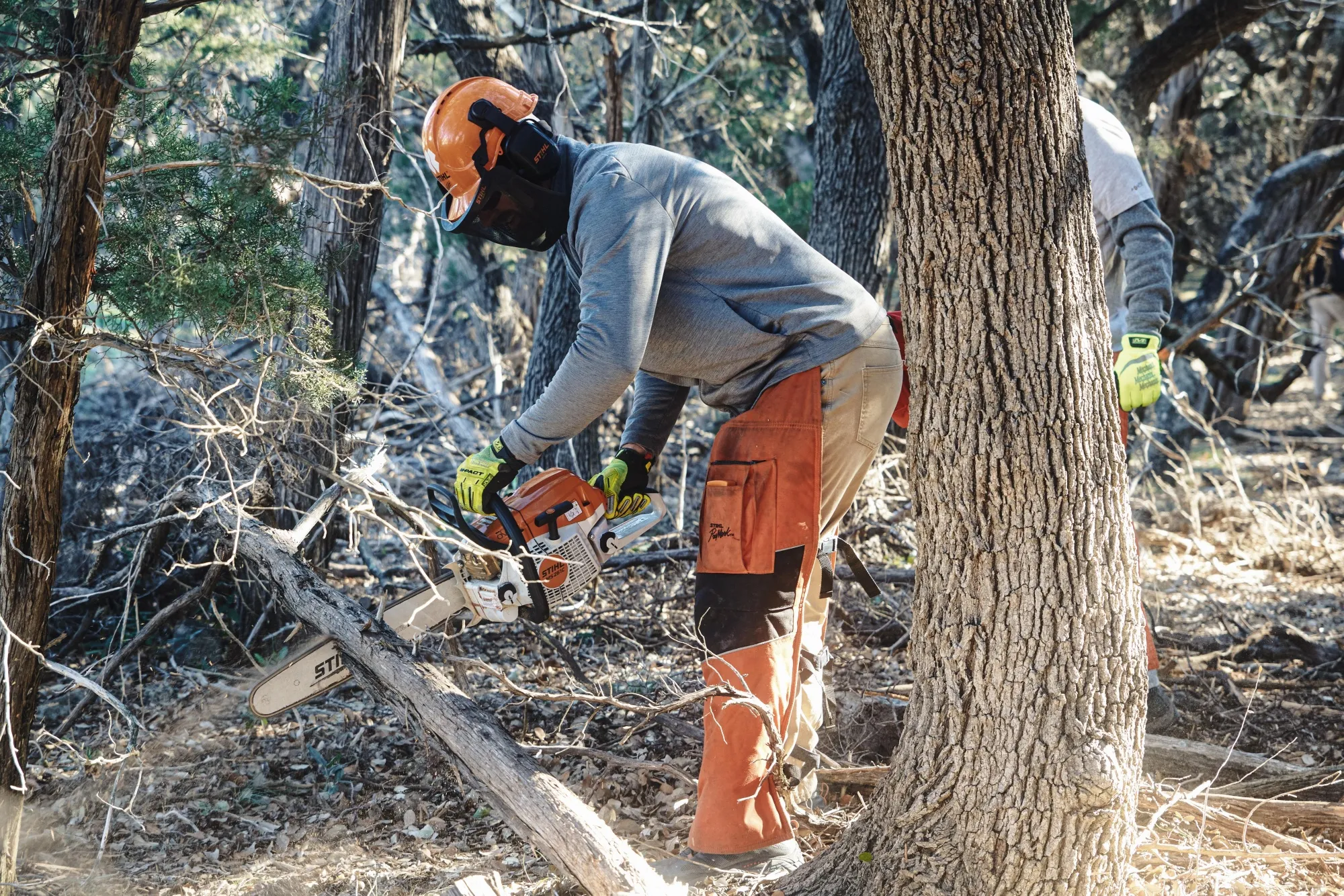 Volunteers with Team Rubicon clear dead wood in the Twin Springs Preserve in Williamson County in an effort to reduce fire danger in the Austin exurb.&nbsp;
