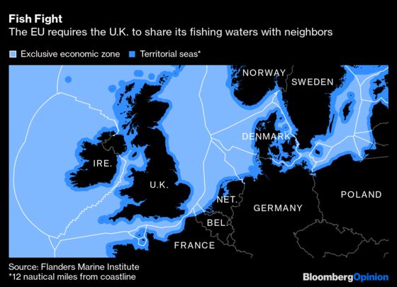 The Fish Fight Reveals Ultimate Brexit Truths