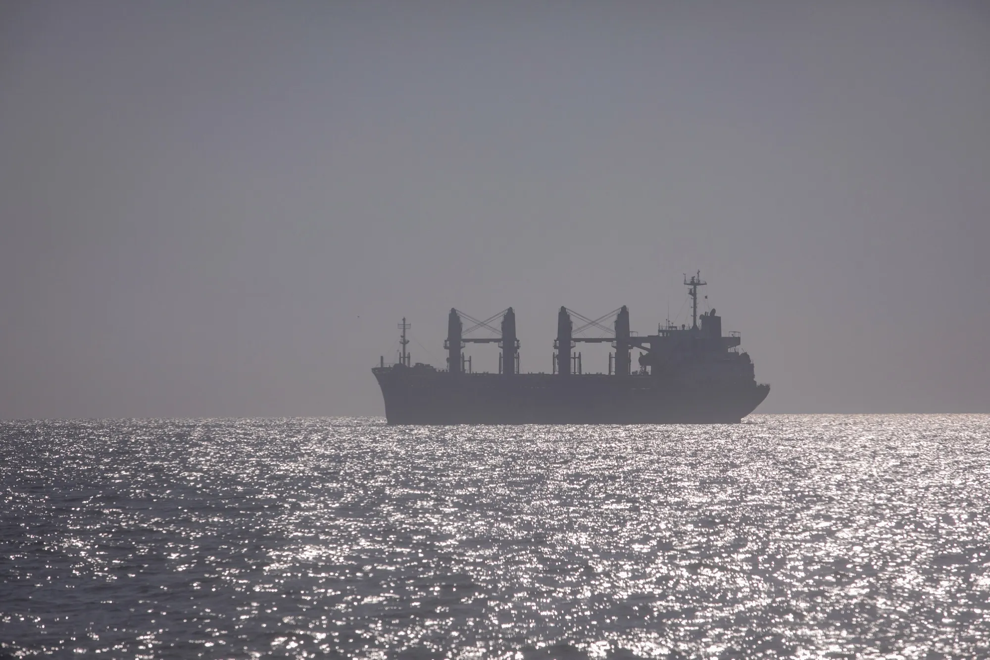 A dry bulk cargo vessel at the southern entrance to the Bosporus Strait leading to the Black Sea&nbsp;in&nbsp;November&nbsp;2022.