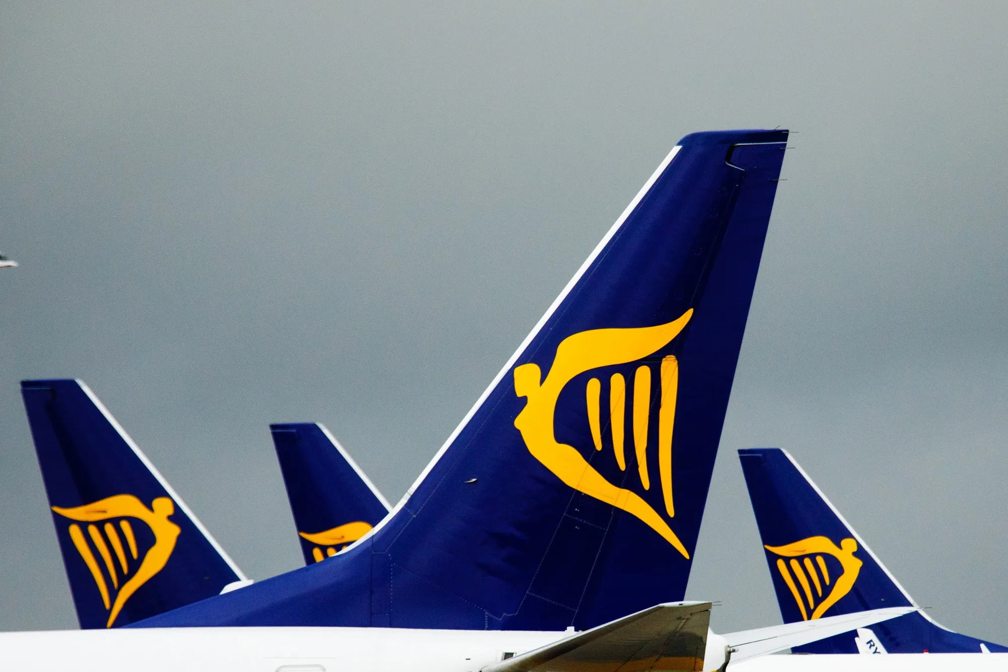 Tail-fins of passenger aircraft bearing the Ryanair livery&nbsp;stand on the tarmac at London Stansted Airport.