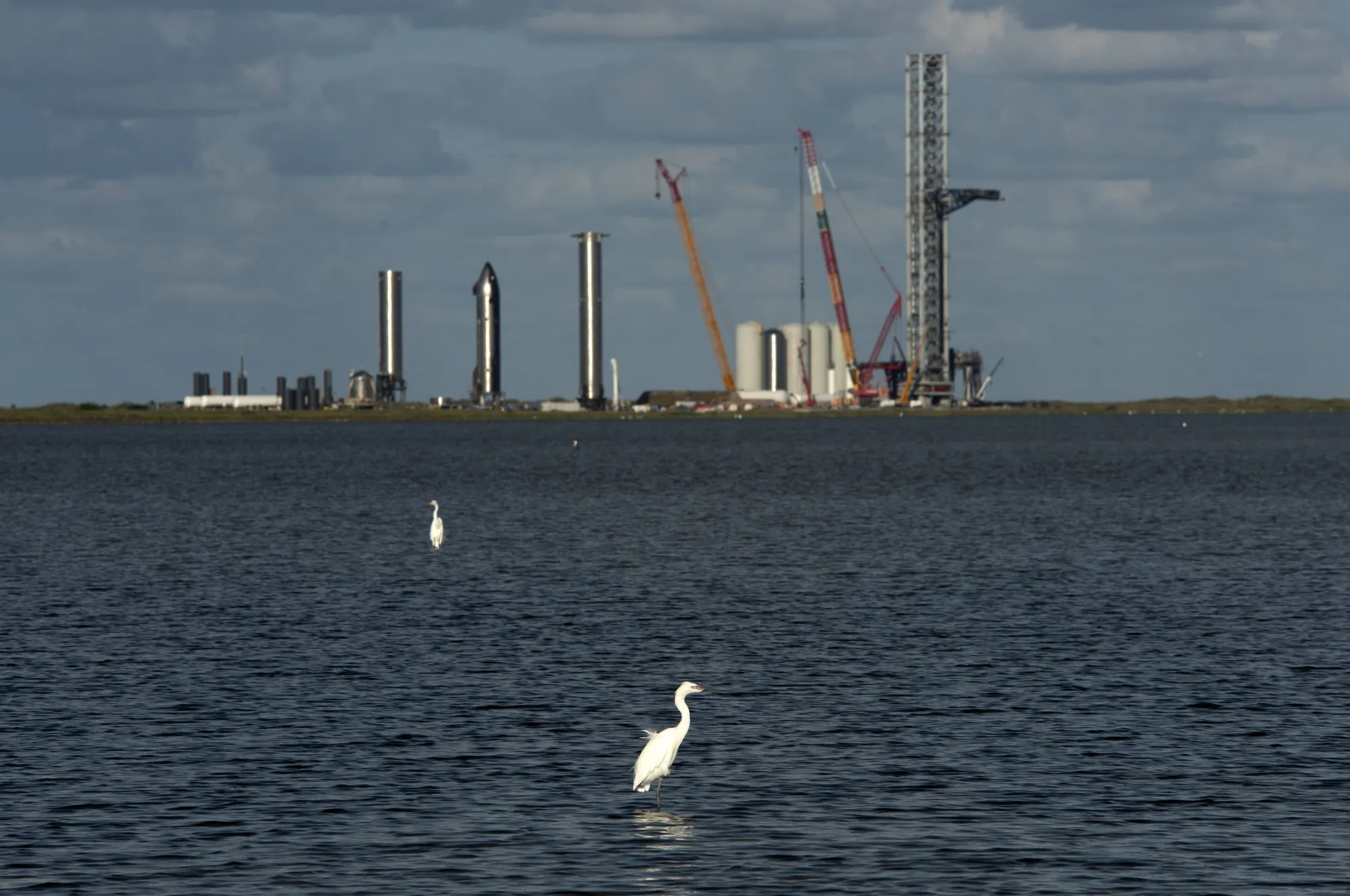 Located at the southern tip of Texas, the site known as Starbase is surrounded by a wildlife refuge that’s home to various endangered or threatened species.&nbsp;