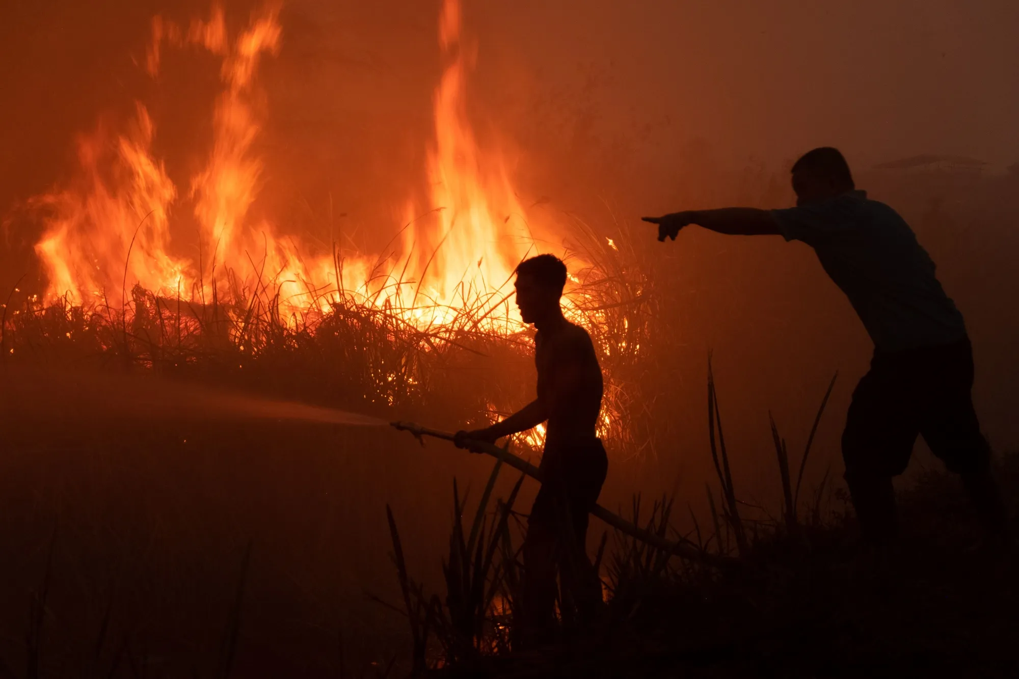 A peatland fire&nbsp;in Ogan Ilir, South Sumatra on Oct. 2.&nbsp;