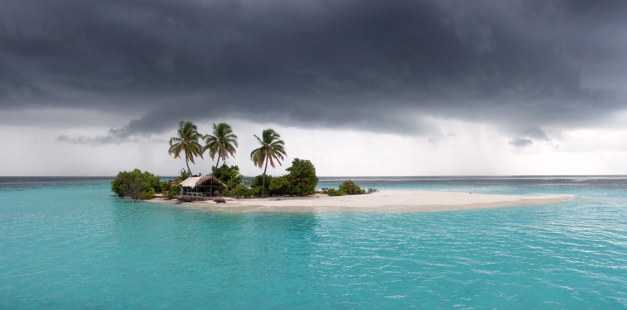 Satyajit Ray's Honorary Oscar and Cinematic Legacy, image size:2000x990