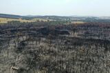Wildfire Damage In Alpine Region