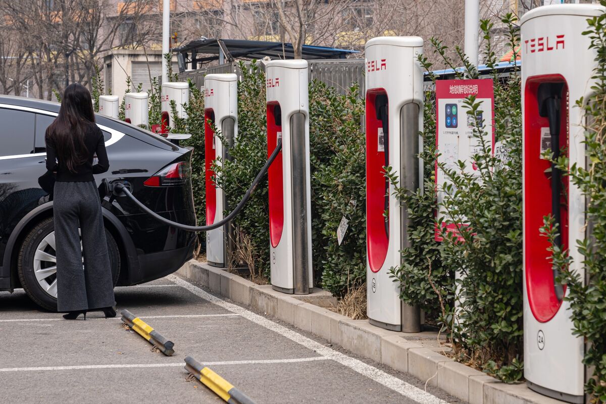 Tesla’s China Sales Drop Again as Rival BYD Posts Gains