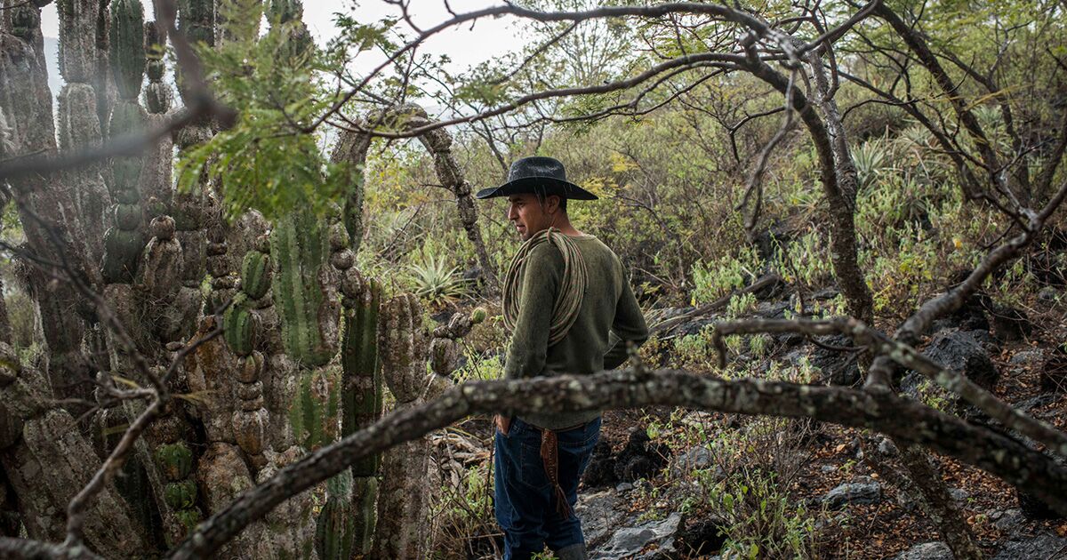 Two Towns Forged An Unlikely Bond Now Ice Is Severing The Connection - Bloomberg