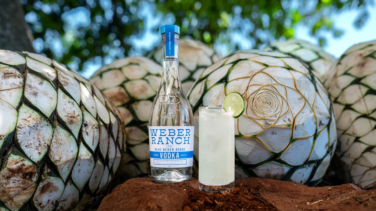 Patron Tequila Creators Launch Agave Vodka: Weber Ranch 1902