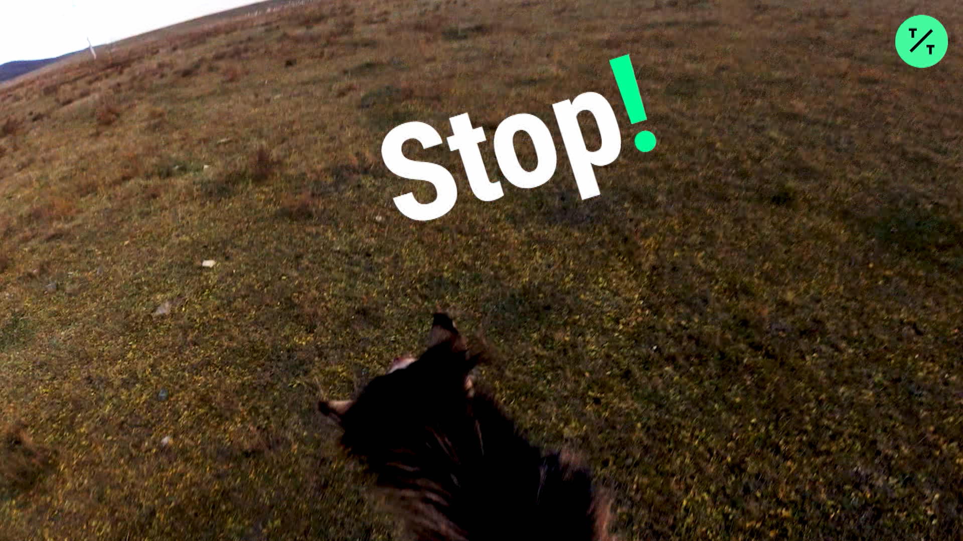 Watch Airbnb Mongolia Bloomberg