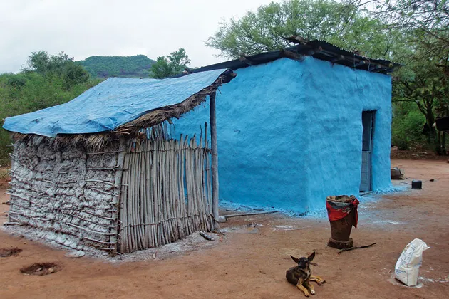 "It's not just the insects that are the problem," says Spanish entrepreneur Pilar Mateo. "It's the poverty."