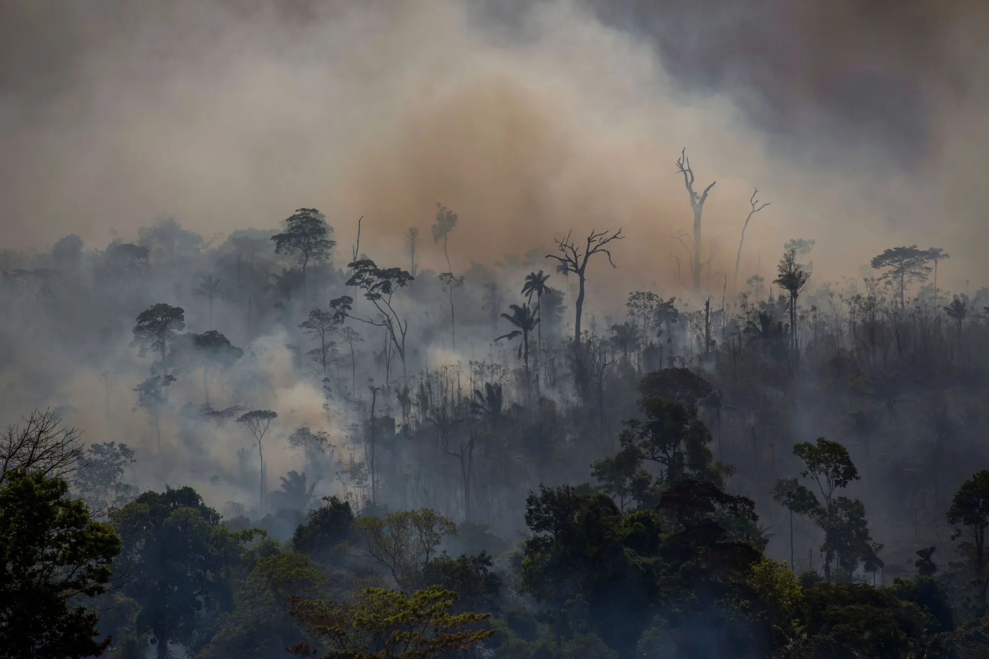Forest fires in Altamira, Para state, Brazil, on Aug. 27.
