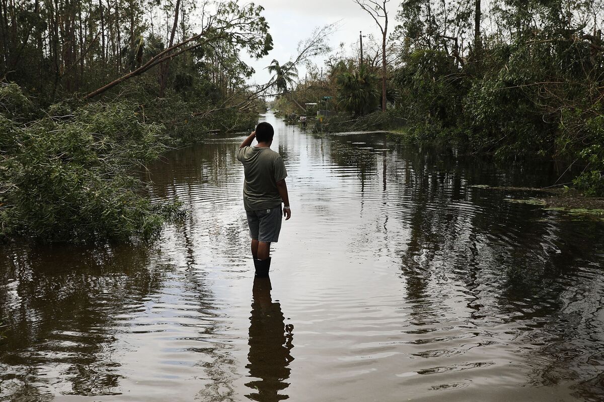 Wetlands Prevent Hurricane Damage. Economists Now Know How Much - Bloomberg