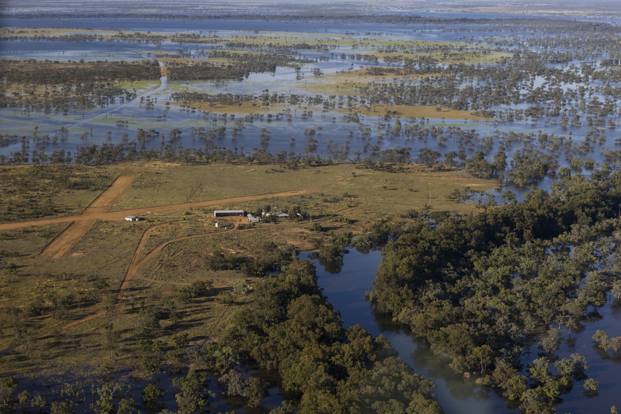 Australian Bushfire Risk To Increase As Country Braces For Drought ...