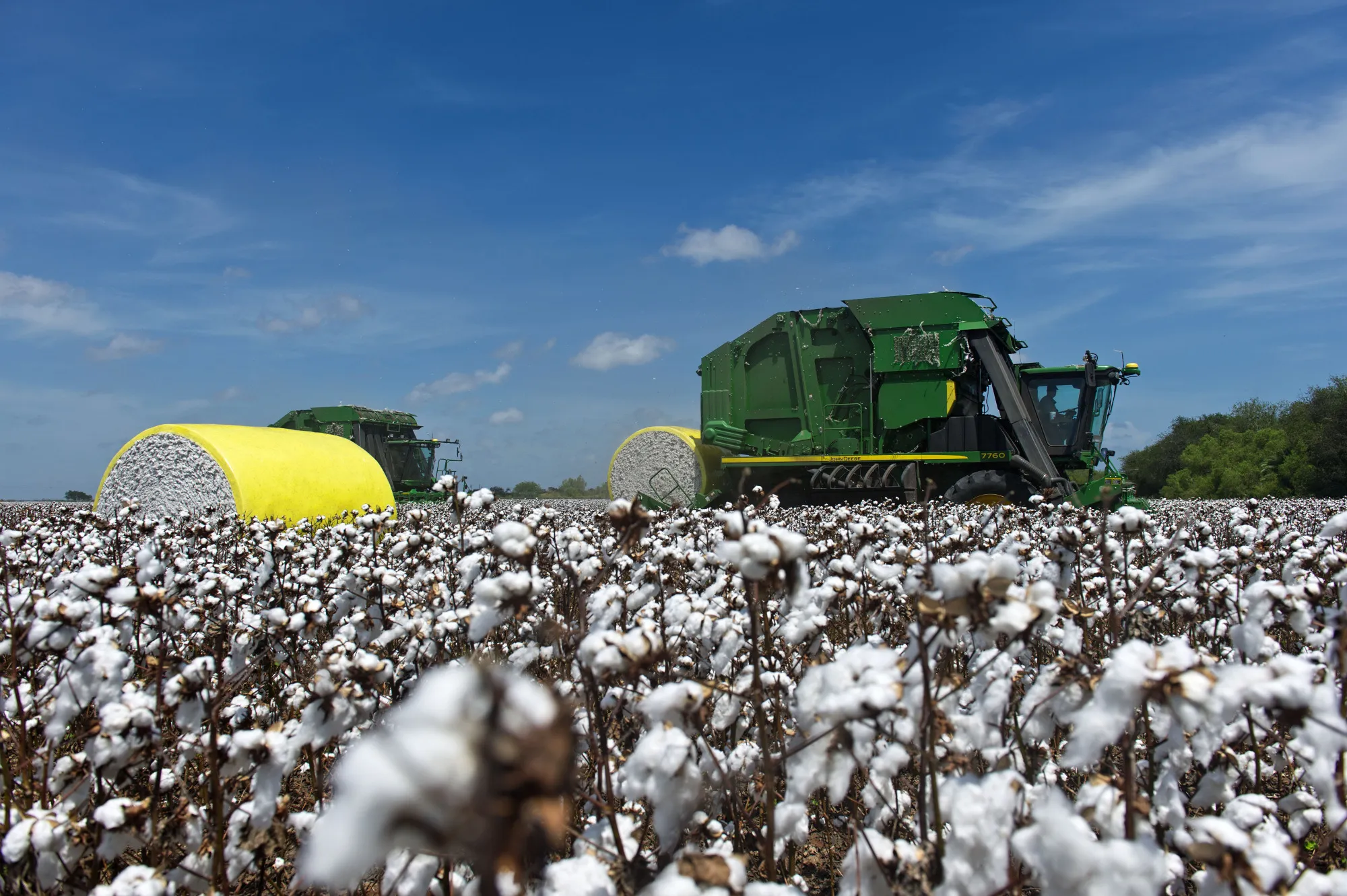 Operations During A Cotton Harvest At Legacy Farms 