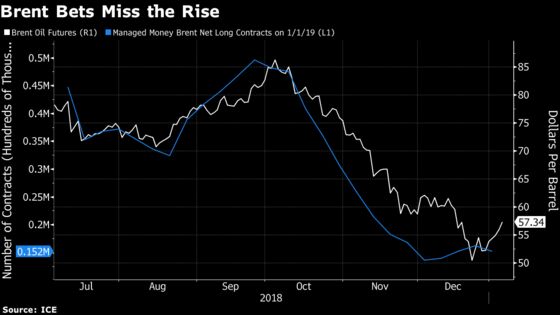 Just as Oil Prices Recover, Hedge Funds Lose Faith in Rally