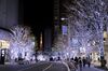 Pedestrians wearing protective face masks walk along a street at night while trees are illuminated ahead of Christmas in the Roppongi district of Tokyo, Japan, on Wednesday, Dec. 16, 2020. Japan is scheduled to release its consumer price index (CPI) figures for November on Dec 18.
