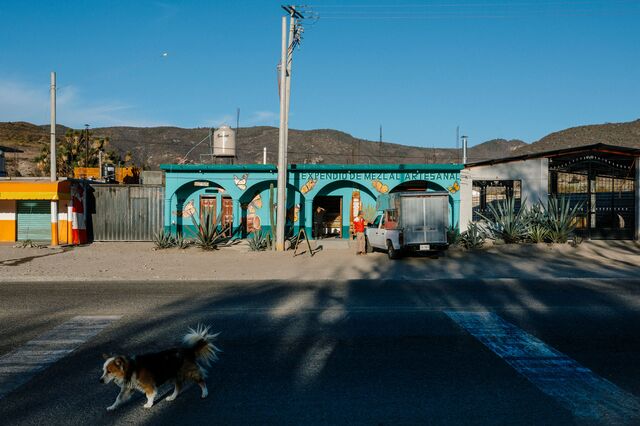 A mezcal store in Santiago Matatlán, Oaxaca