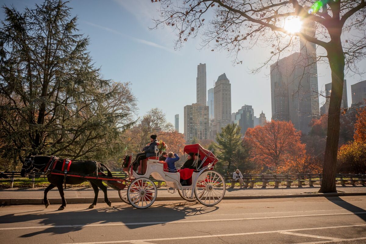 New York Council Bans Horse Carriages, After Decade-Long Battle