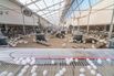 sol_chickens_02