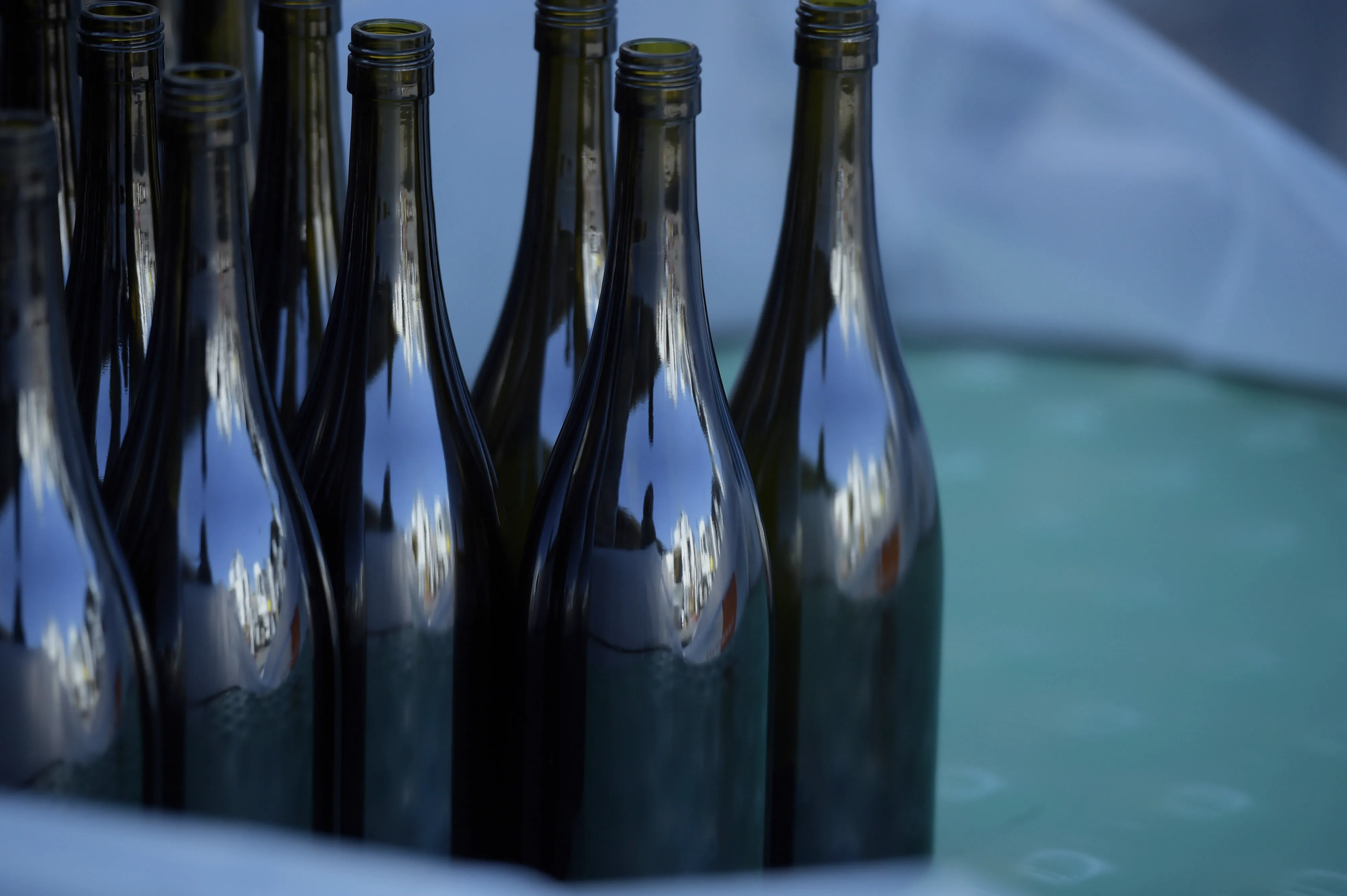 Vineyards in the Yarra Valley and Operations at the Rob Dolan & Co. Winemaking Facility
