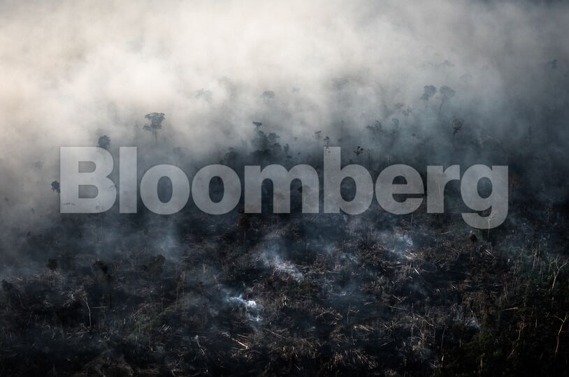 Brazilian Amazon Burns At Record Rate